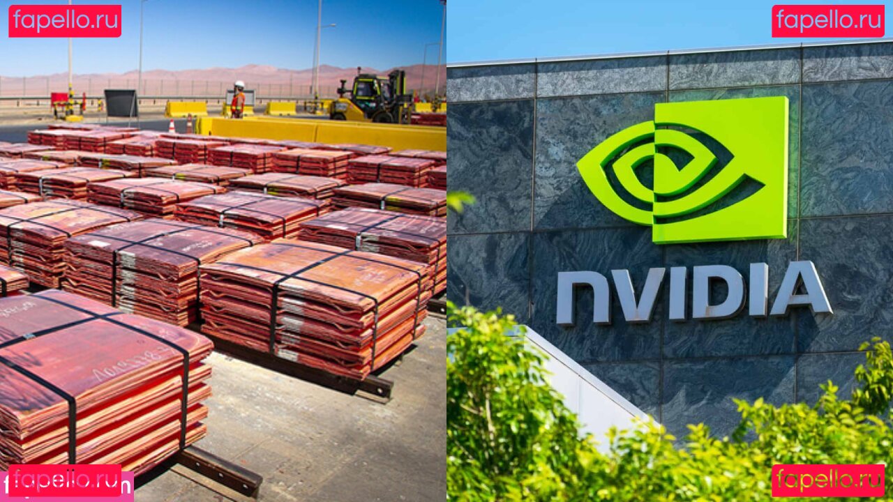 niecewaidhofer Onlyfans Photo Gallery 