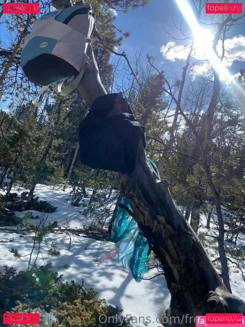 freebunnii Onlyfans Photo Gallery 