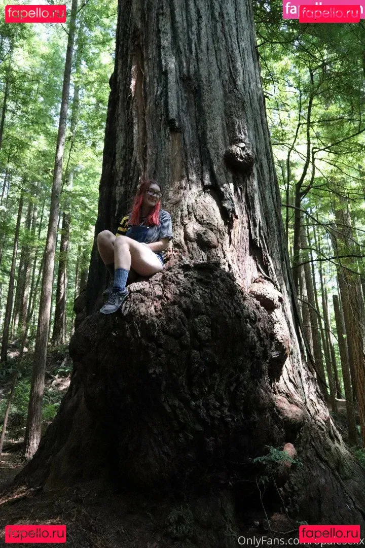 opalesexx Onlyfans Photo Gallery 