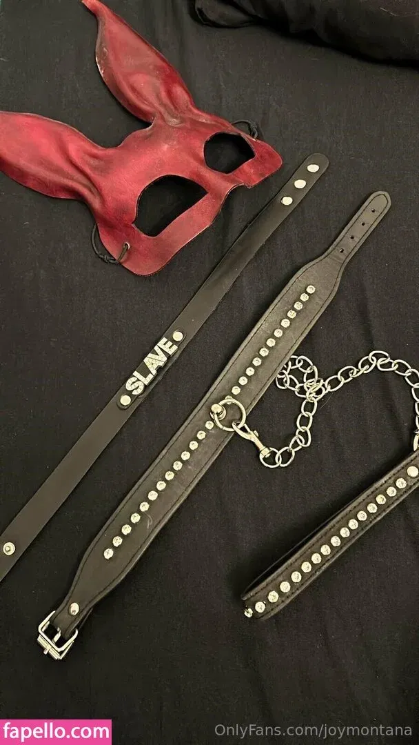 joymontana Onlyfans Photo Gallery 