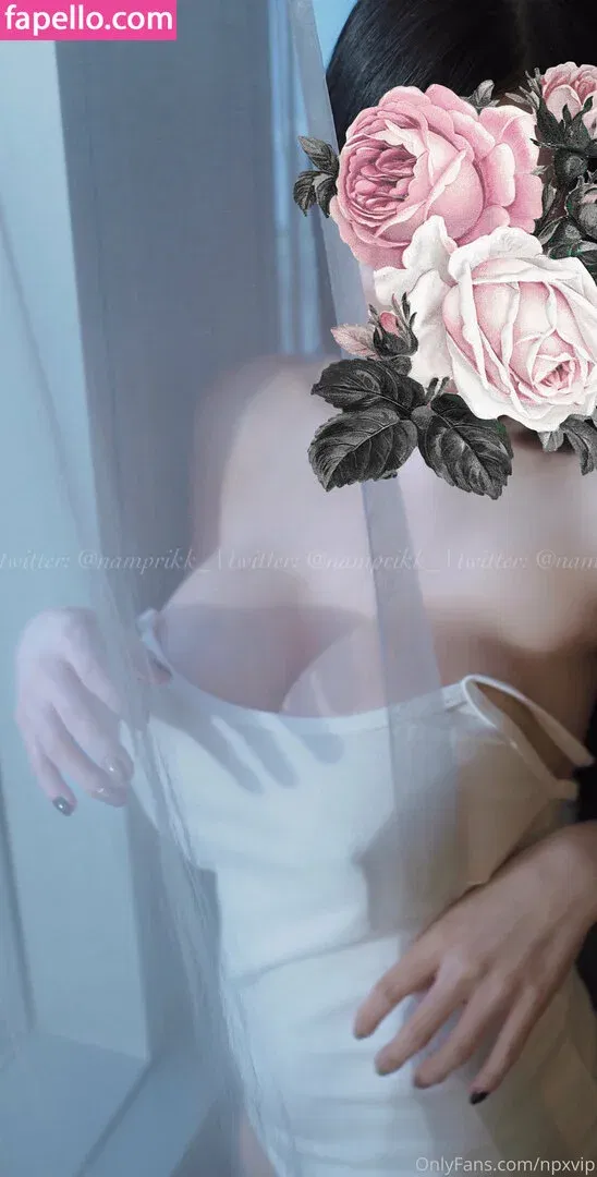 Npxvip Onlyfans Photo Gallery 