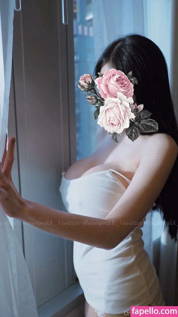 Npxvip Onlyfans Photo Gallery 