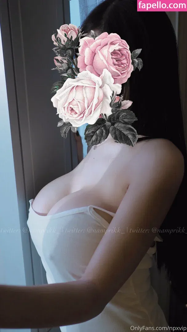 Npxvip Onlyfans Photo Gallery 