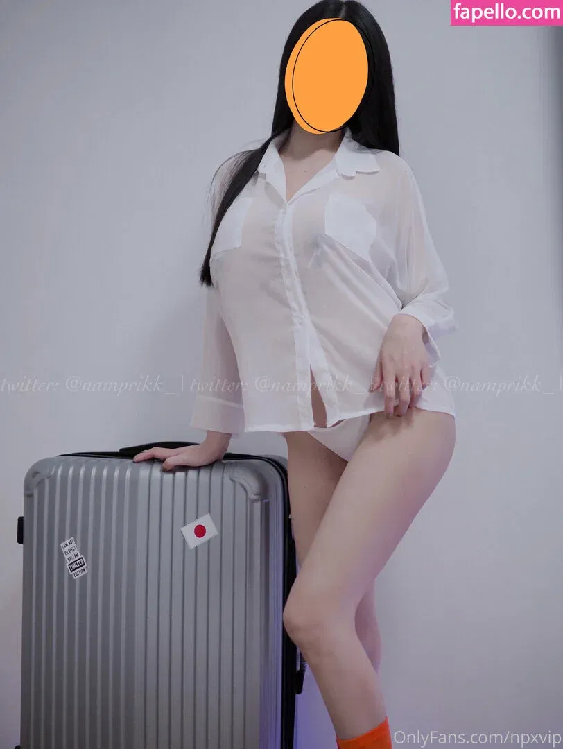 Npxvip Onlyfans Photo Gallery 