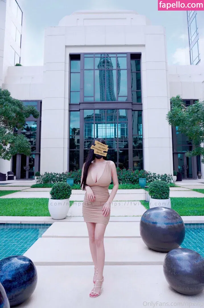 Npxvip Onlyfans Photo Gallery 