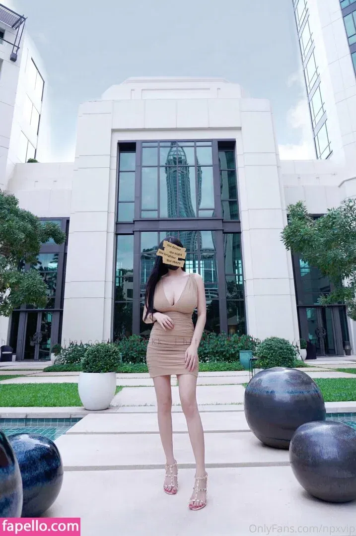 Npxvip Onlyfans Photo Gallery 