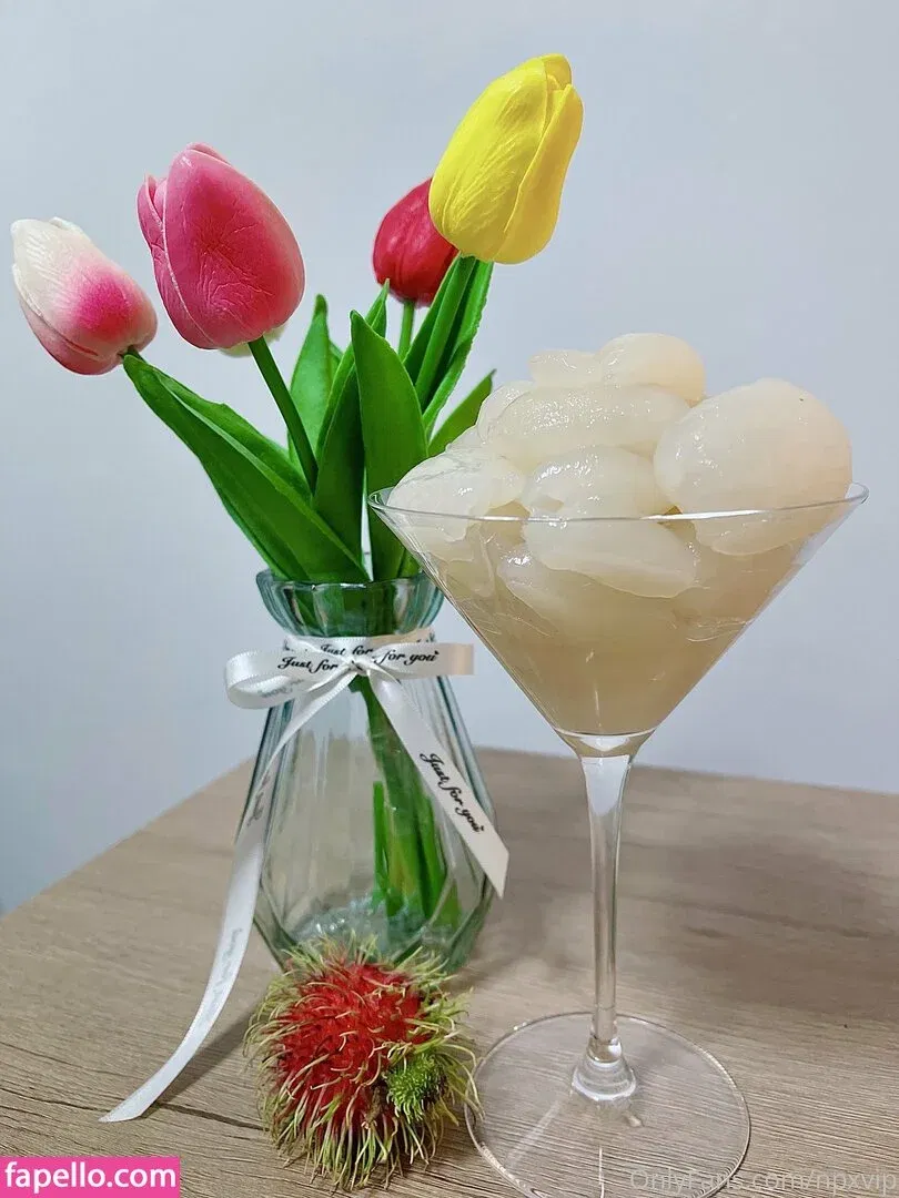 Npxvip Onlyfans Photo Gallery 