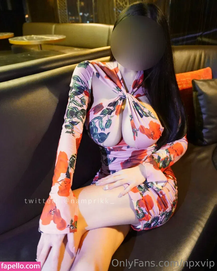 Npxvip Onlyfans Photo Gallery 