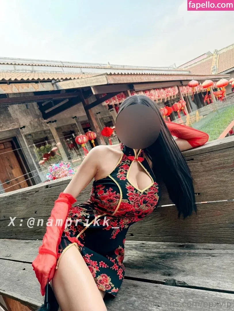 Npxvip Onlyfans Photo Gallery 