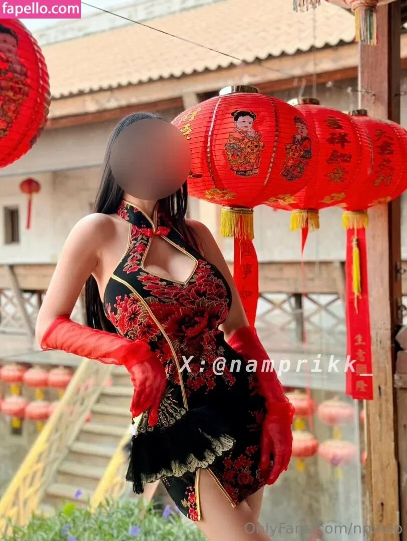 Npxvip Onlyfans Photo Gallery 