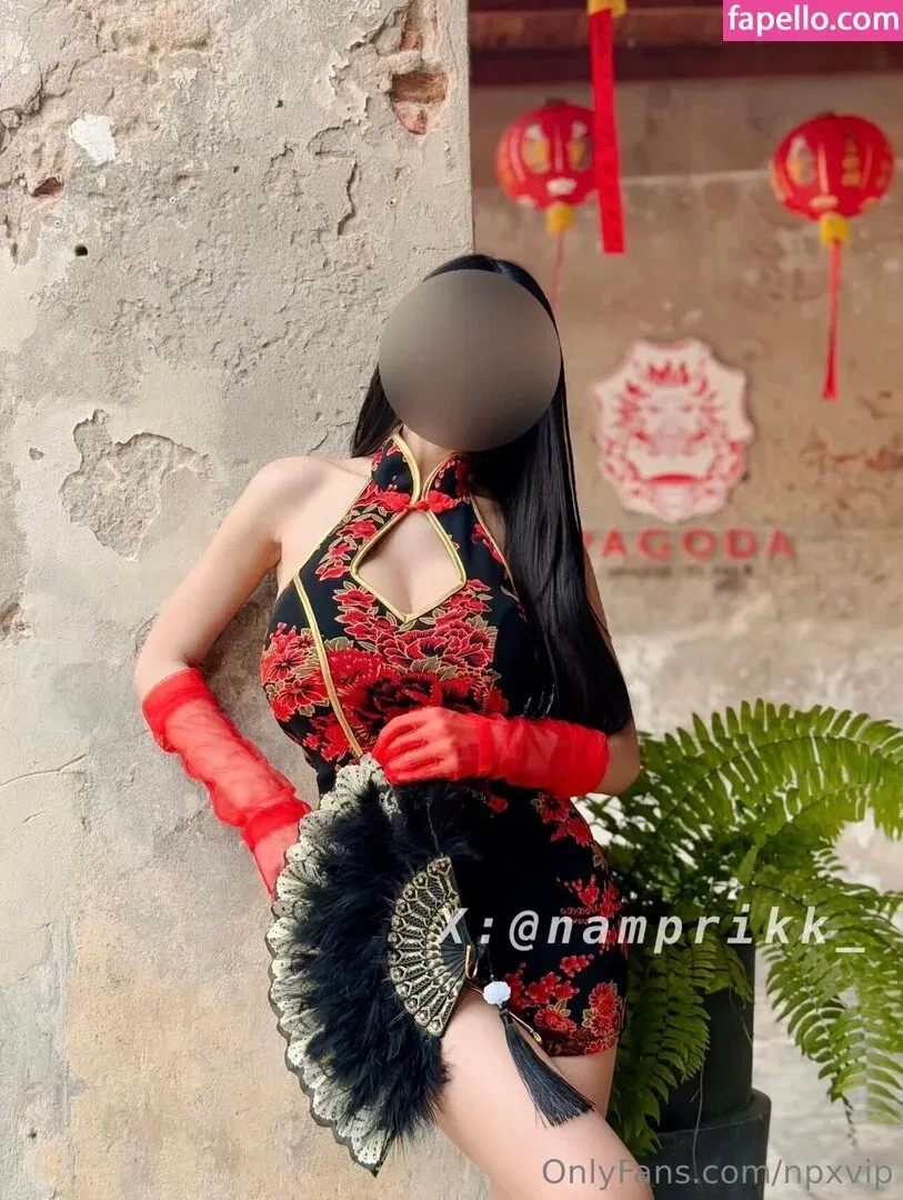 Npxvip Onlyfans Photo Gallery 
