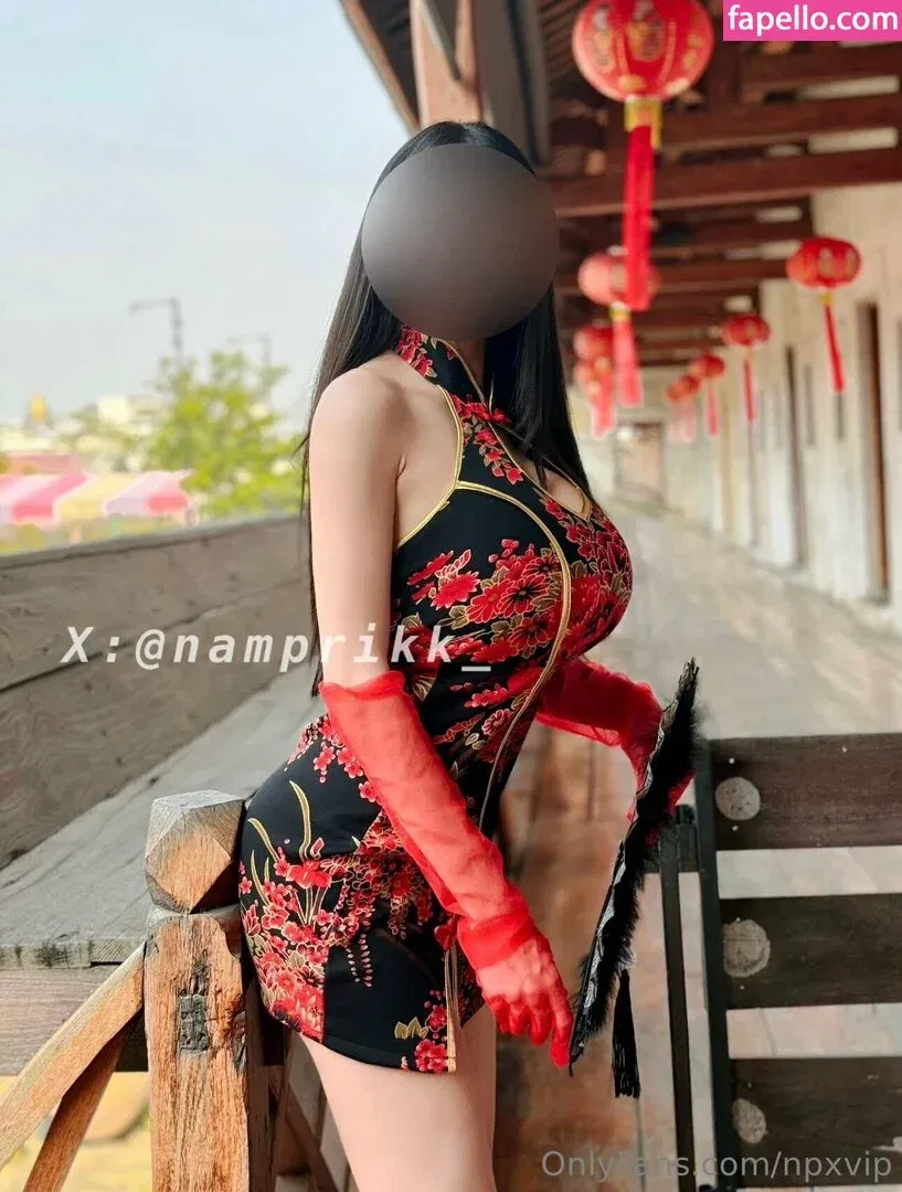 Npxvip Onlyfans Photo Gallery 