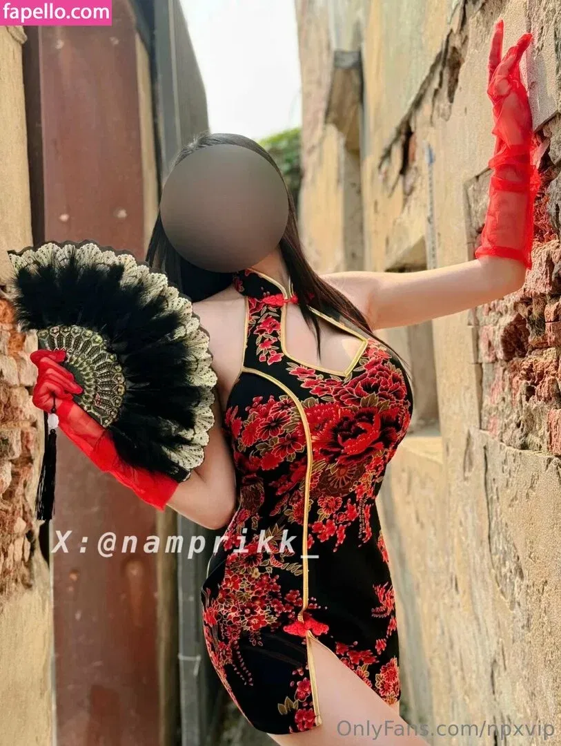 Npxvip Onlyfans Photo Gallery 