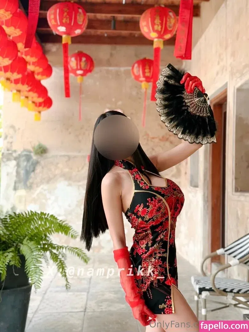 Npxvip Onlyfans Photo Gallery 