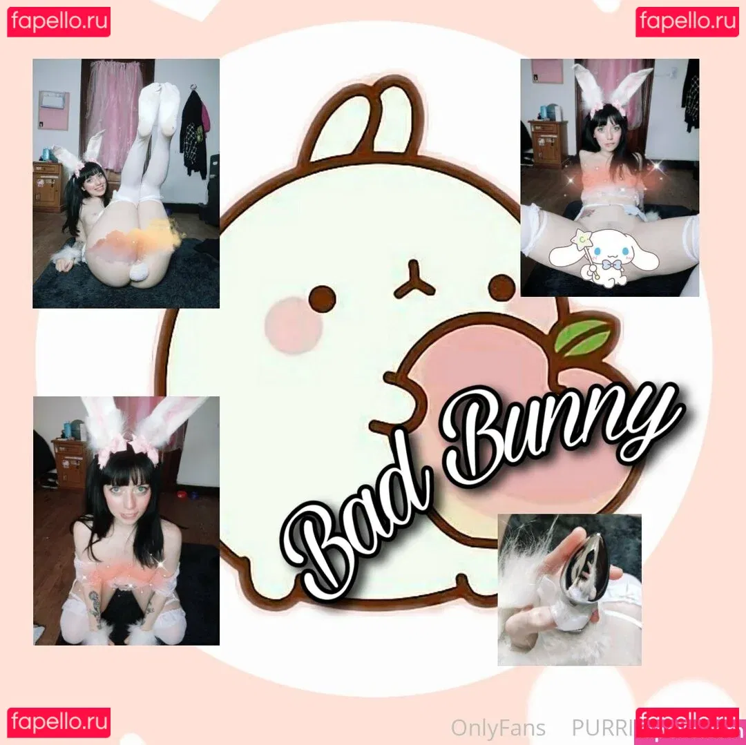 Purrincessjoy Onlyfans Photo Gallery 