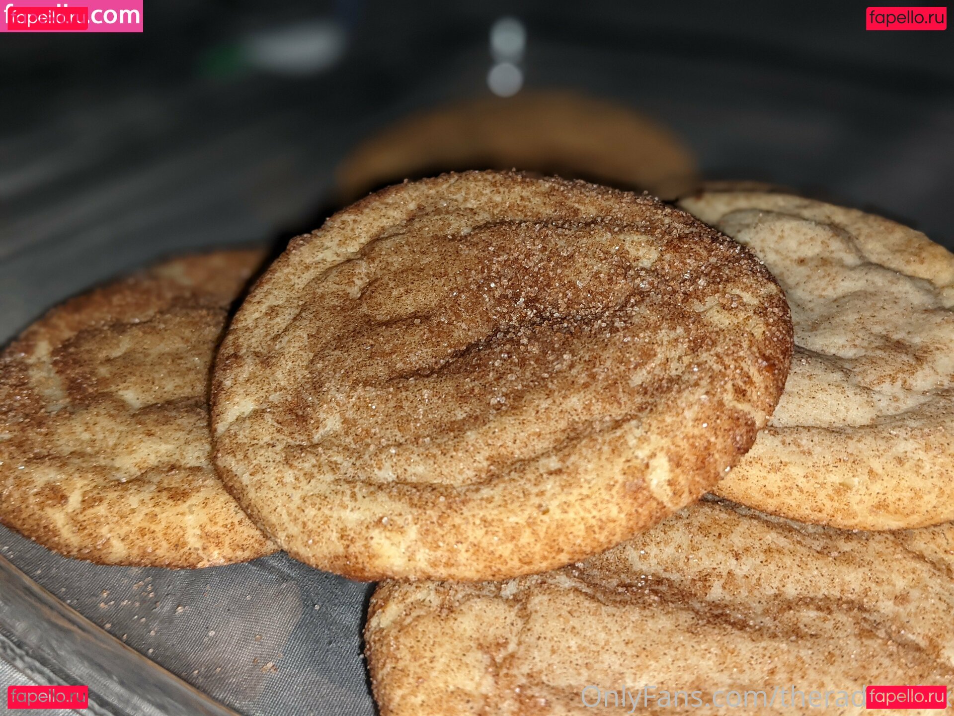 radicalfox117 / theradicalfox Onlyfans Photo Gallery 