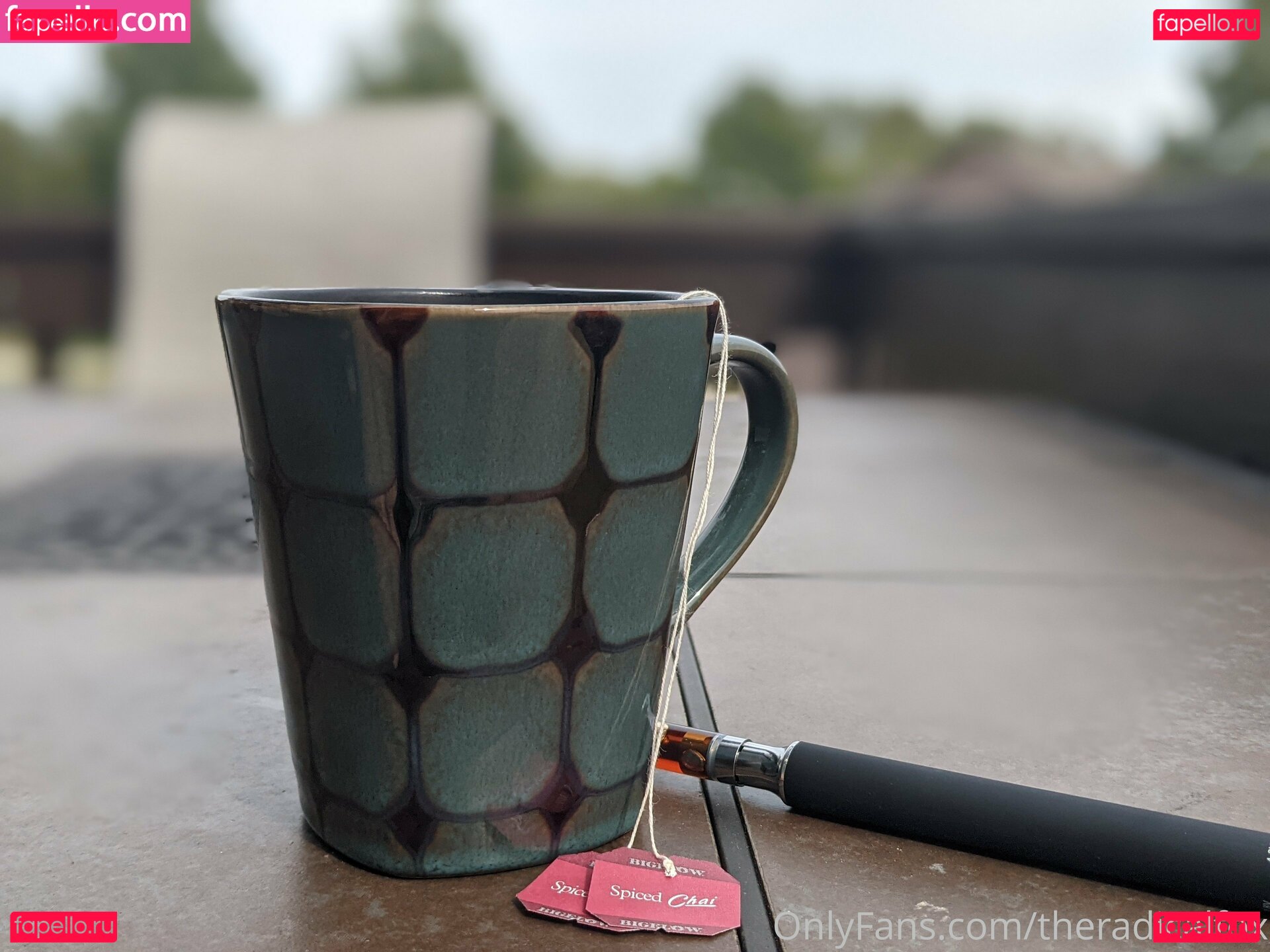 radicalfox117 / theradicalfox Onlyfans Photo Gallery 