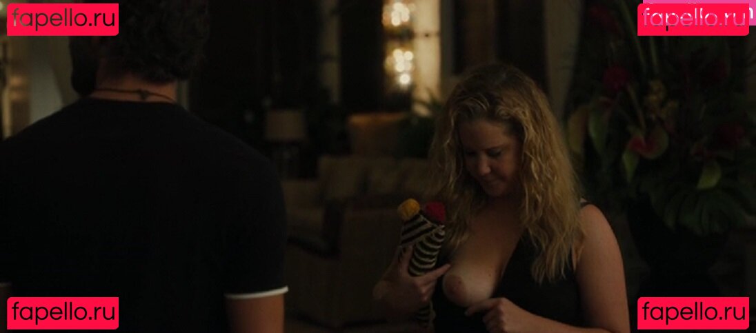 Amy Schumer / amyschumer Nude Onlyfans Photo 48