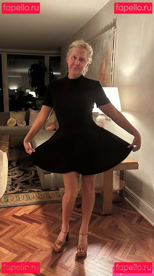 Amy Schumer / amyschumer Nude Onlyfans Photo 3
