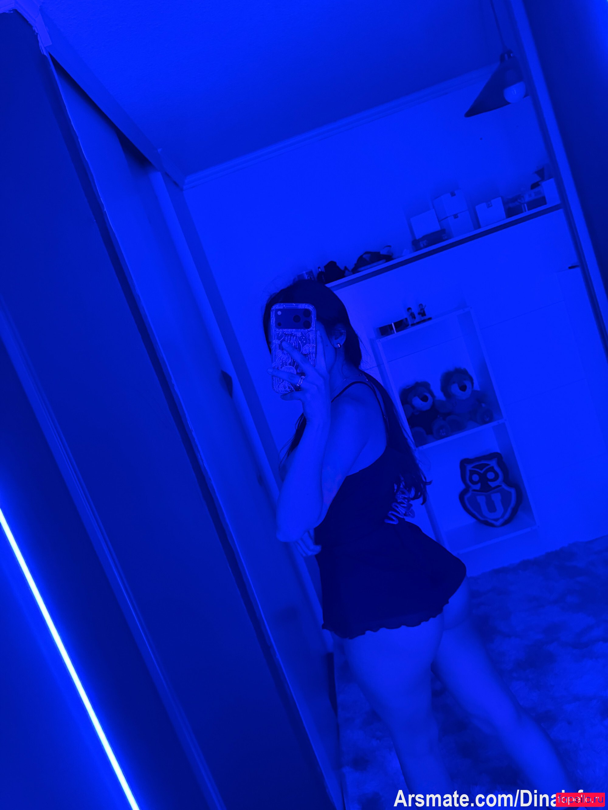 Dinaeiffel Nude Onlyfans Photo 19