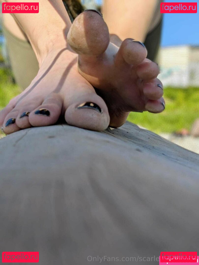 scarlettandtyrell / x_scarlettandtyrell_x Onlyfans Photo Gallery 