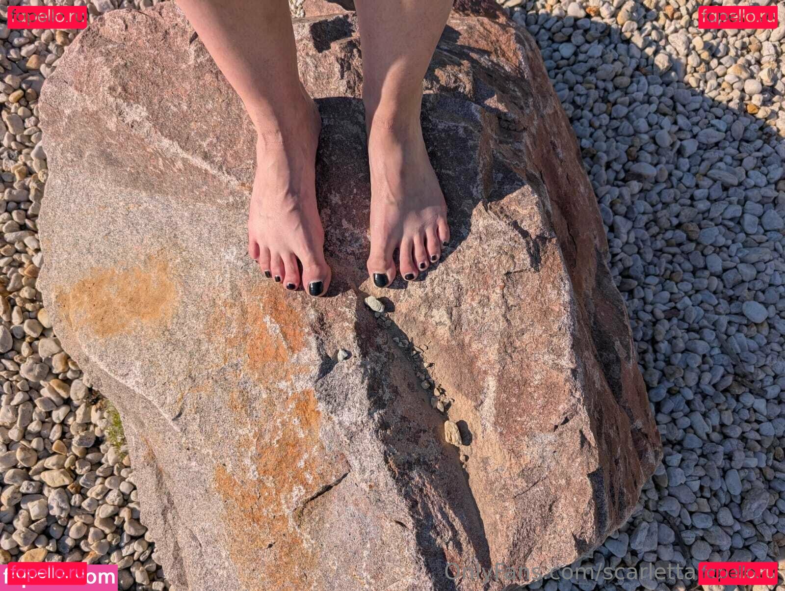 scarlettandtyrell / x_scarlettandtyrell_x Onlyfans Photo Gallery 