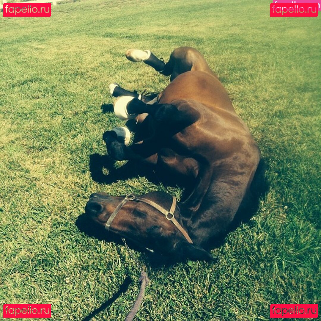 Ashmae / Ashton Hatchell / ashtonhatchell Onlyfans Photo Gallery 