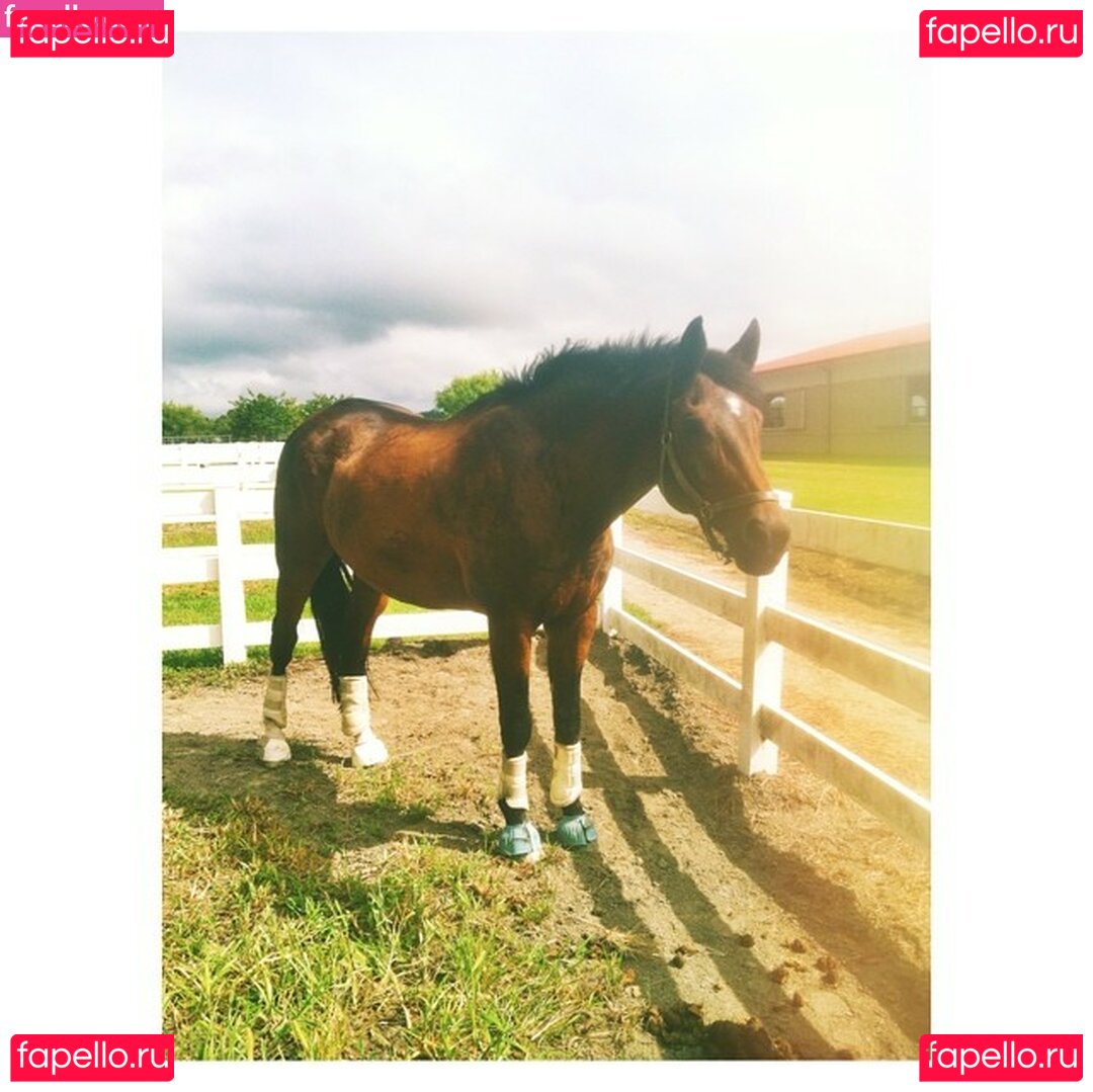 Ashmae / Ashton Hatchell / ashtonhatchell Onlyfans Photo Gallery 