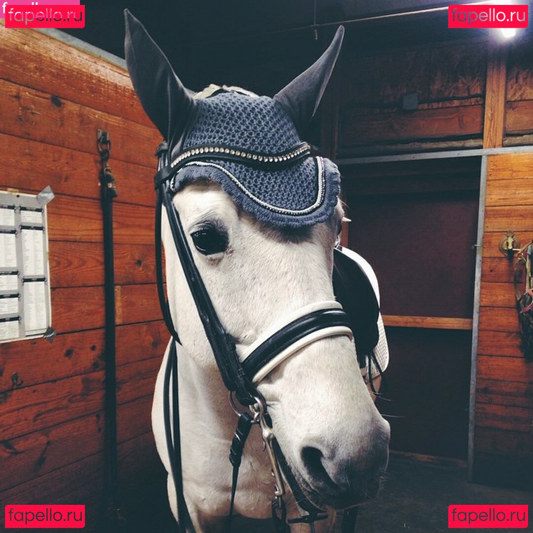 Ashmae / Ashton Hatchell / ashtonhatchell Onlyfans Photo Gallery 