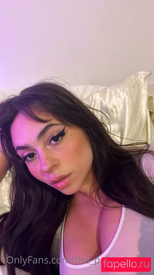 princessavanessa Nude Onlyfans Photo 12