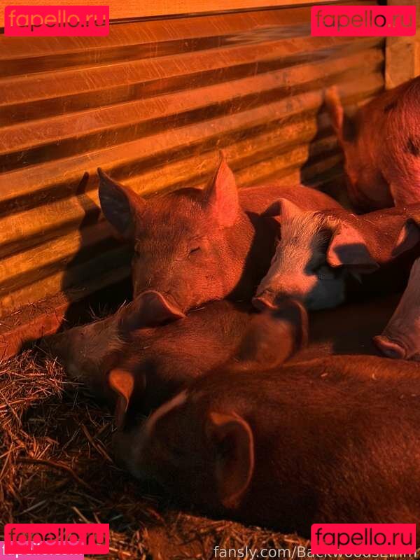 BackwoodsEmm / assets / https: Onlyfans Photo Gallery 