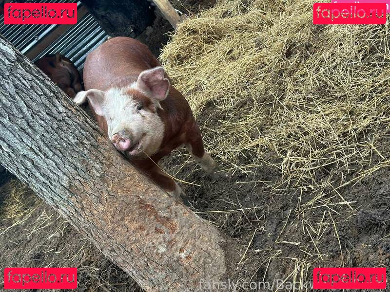 BackwoodsEmm / assets / https: Onlyfans Photo Gallery 