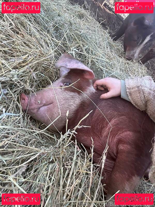 BackwoodsEmm / assets / https: Onlyfans Photo Gallery 