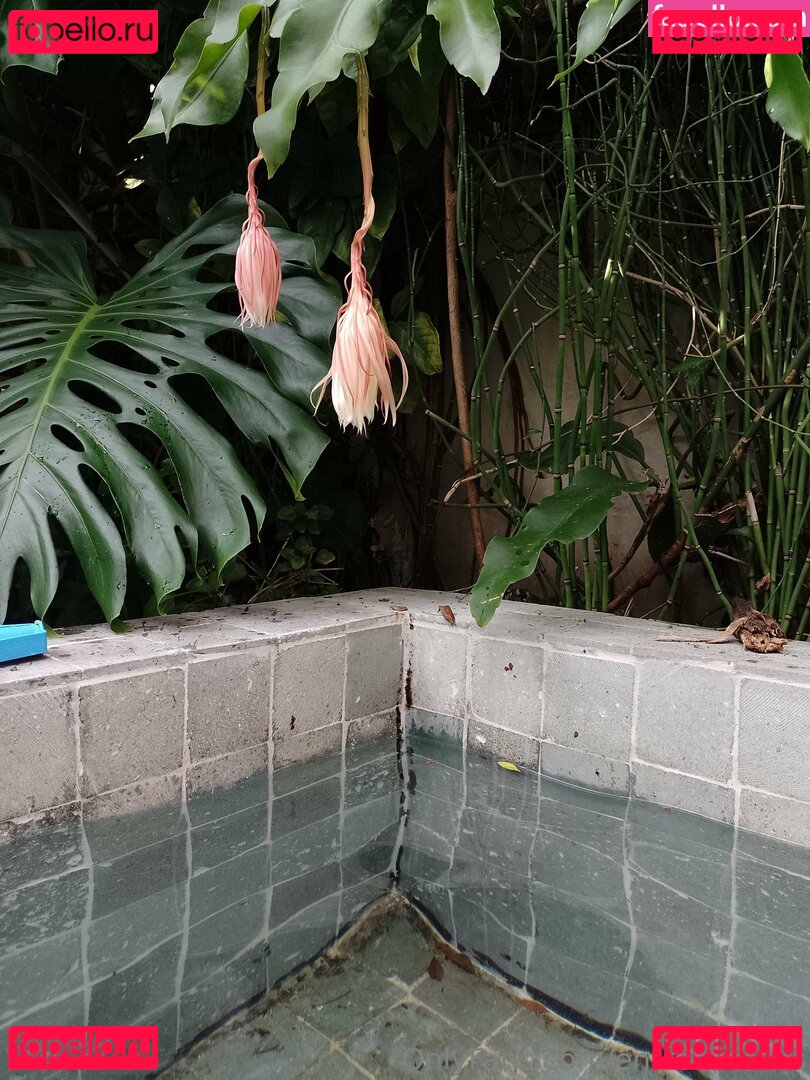 entrecuerdas / entrecuerdas.oficial Onlyfans Photo Gallery 