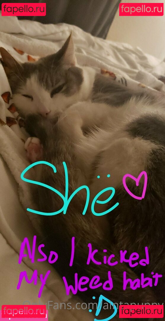 Aintapuppy / aintapet / anyuser Onlyfans Photo Gallery 