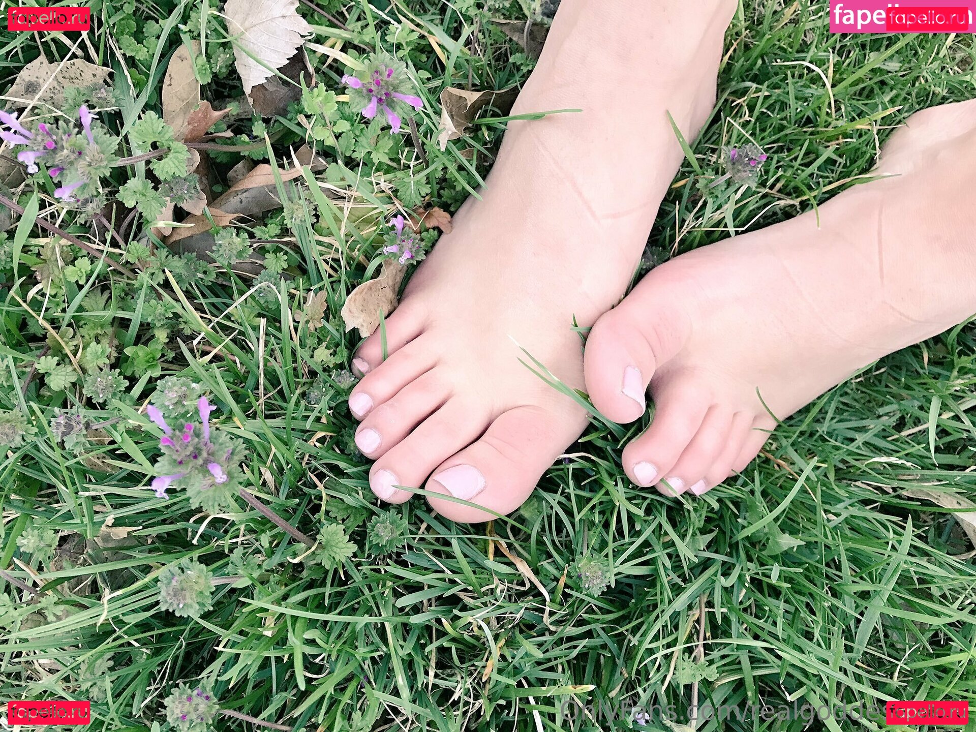 realgoddessgirl / realgoddessholly Onlyfans Photo Gallery 