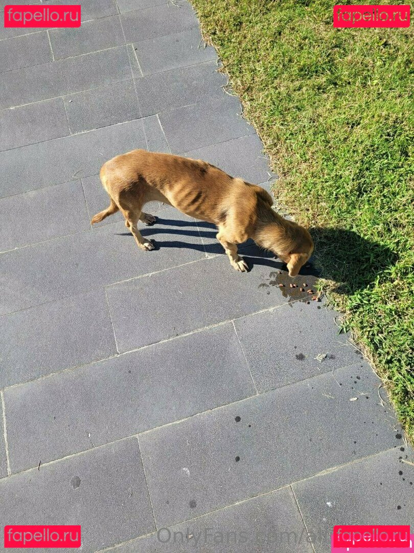 alina.shines / alinashine Onlyfans Photo Gallery 