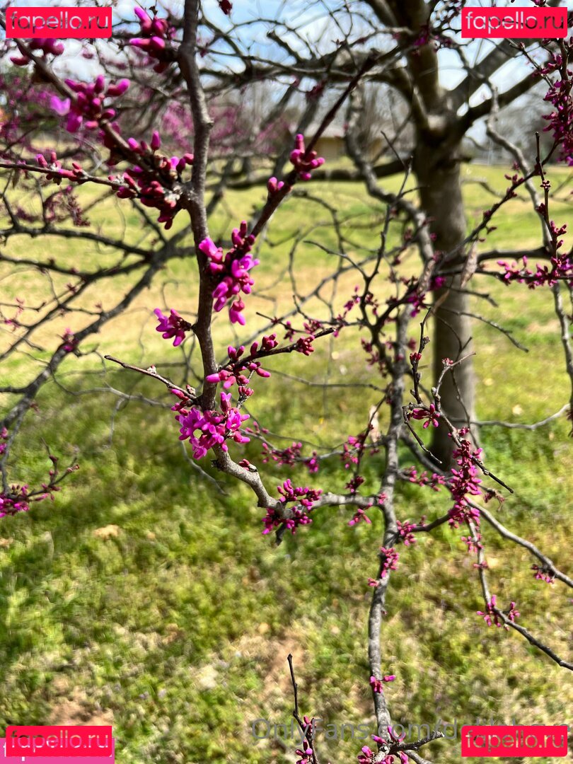 delilaheve Onlyfans Photo Gallery 