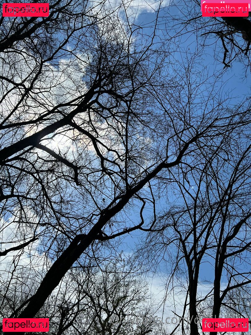 delilaheve Onlyfans Photo Gallery 