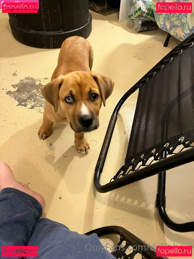 delilaheve Onlyfans Photo Gallery 