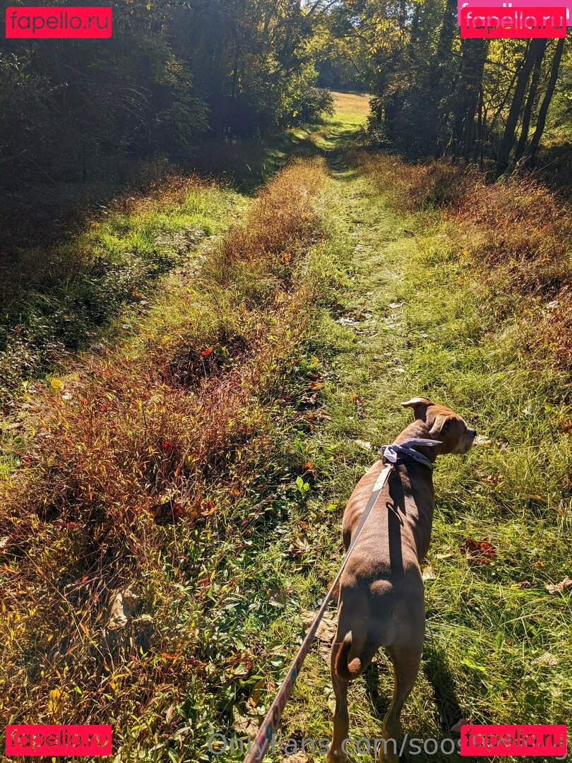 sooshidawg Onlyfans Photo Gallery 