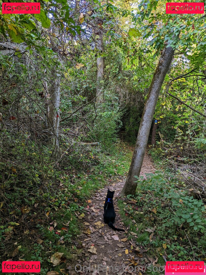 sooshidawg Onlyfans Photo Gallery 