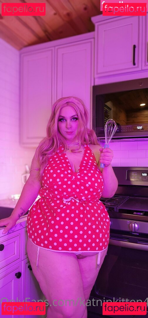 katnipkitten420 Onlyfans Photo Gallery 