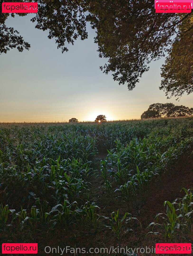 misterrobinsons / mrrobinson69 Onlyfans Photo Gallery 