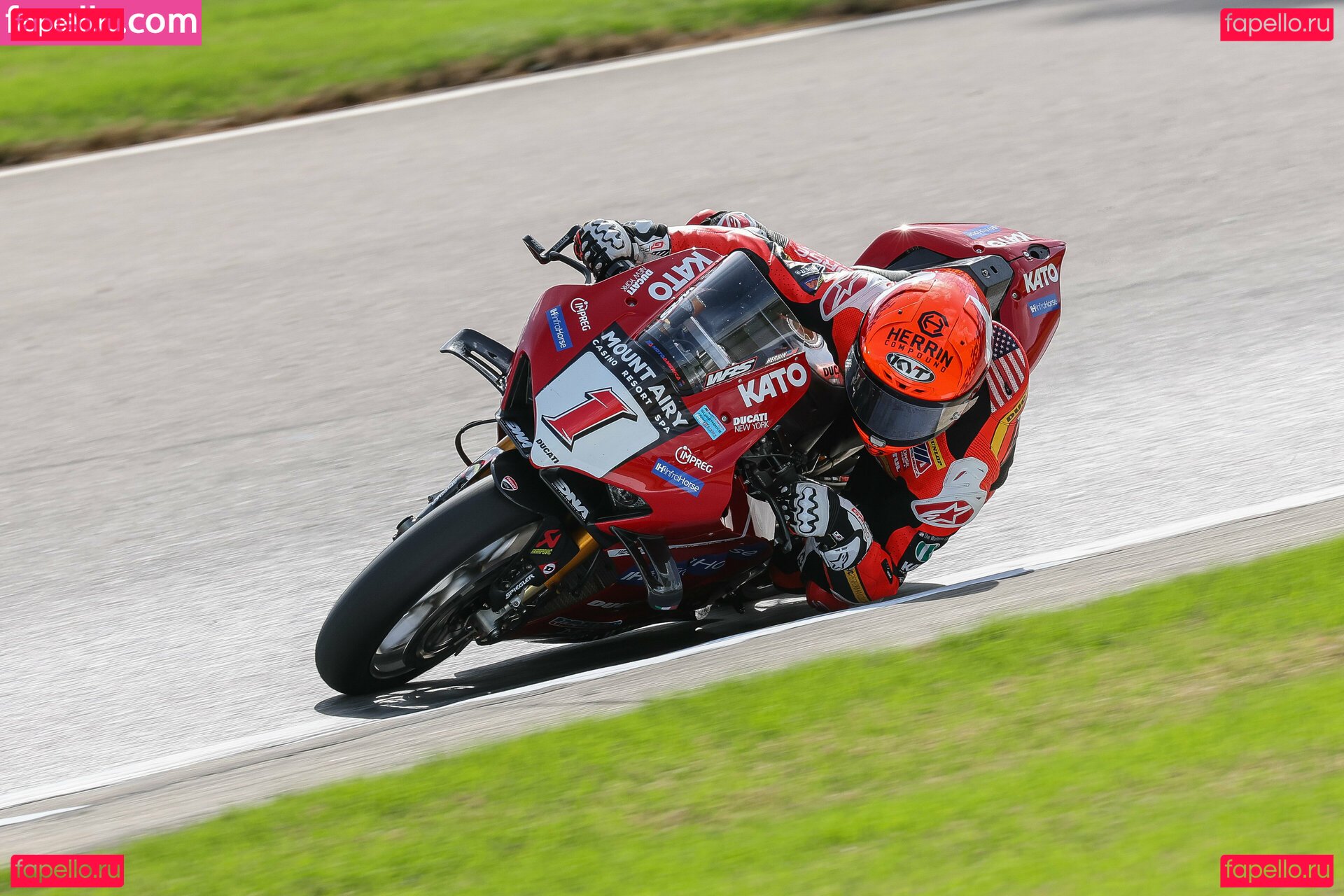 josh_herrin / joshherrin Onlyfans Photo Gallery 