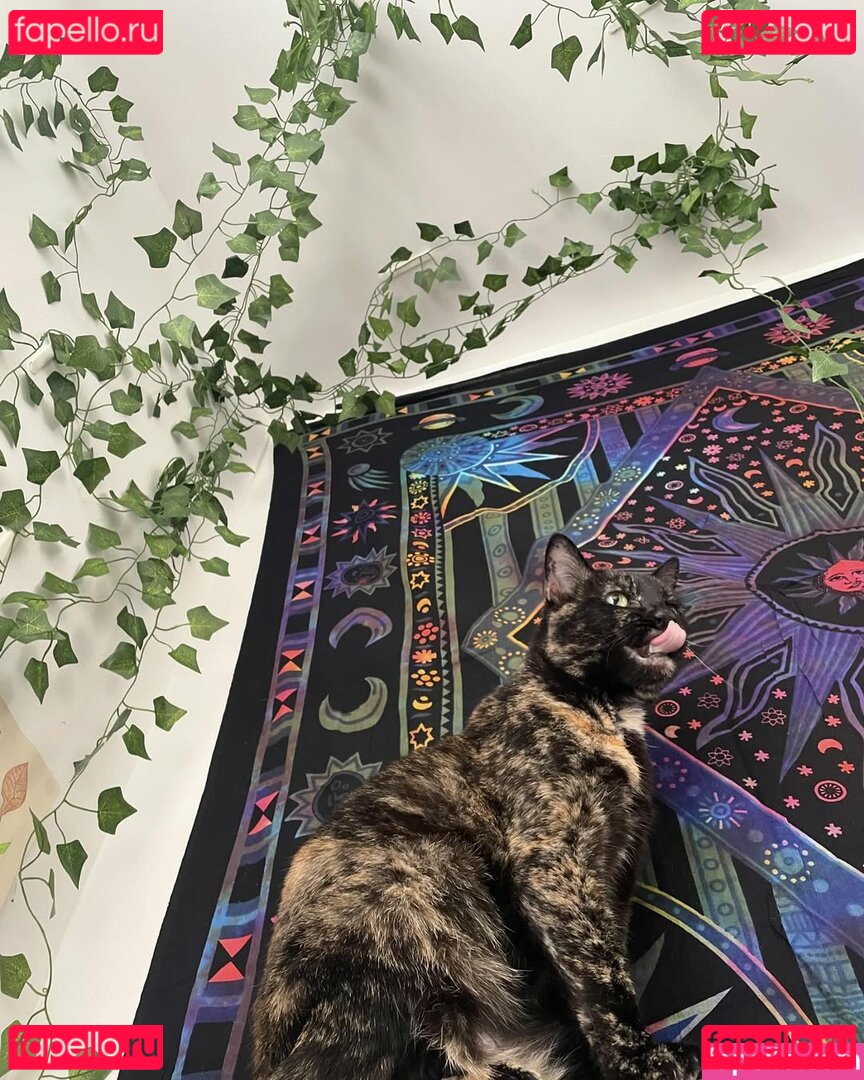 KiaKuromi2 / https: / kiakuromi Onlyfans Photo Gallery 