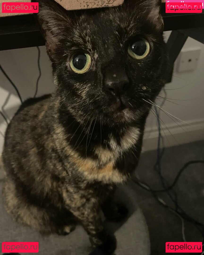 KiaKuromi2 / https: / kiakuromi Onlyfans Photo Gallery 