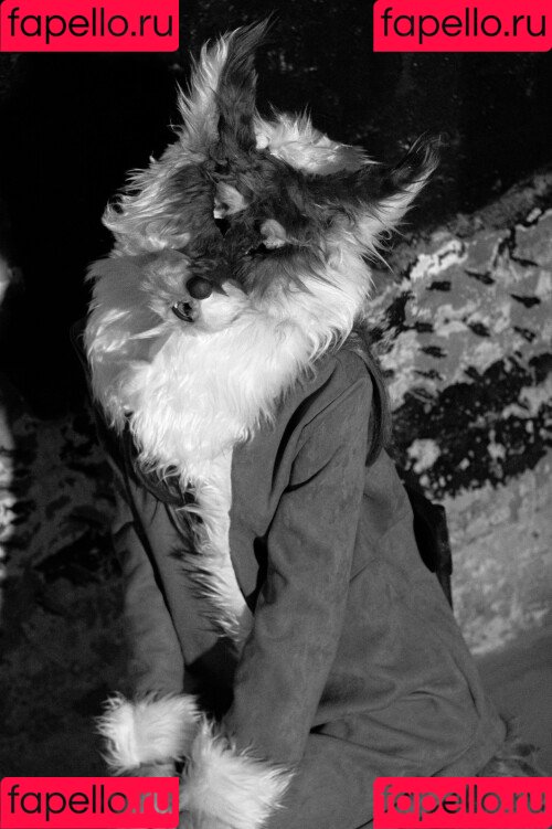 ryo.kizuchi Onlyfans Photo Gallery 