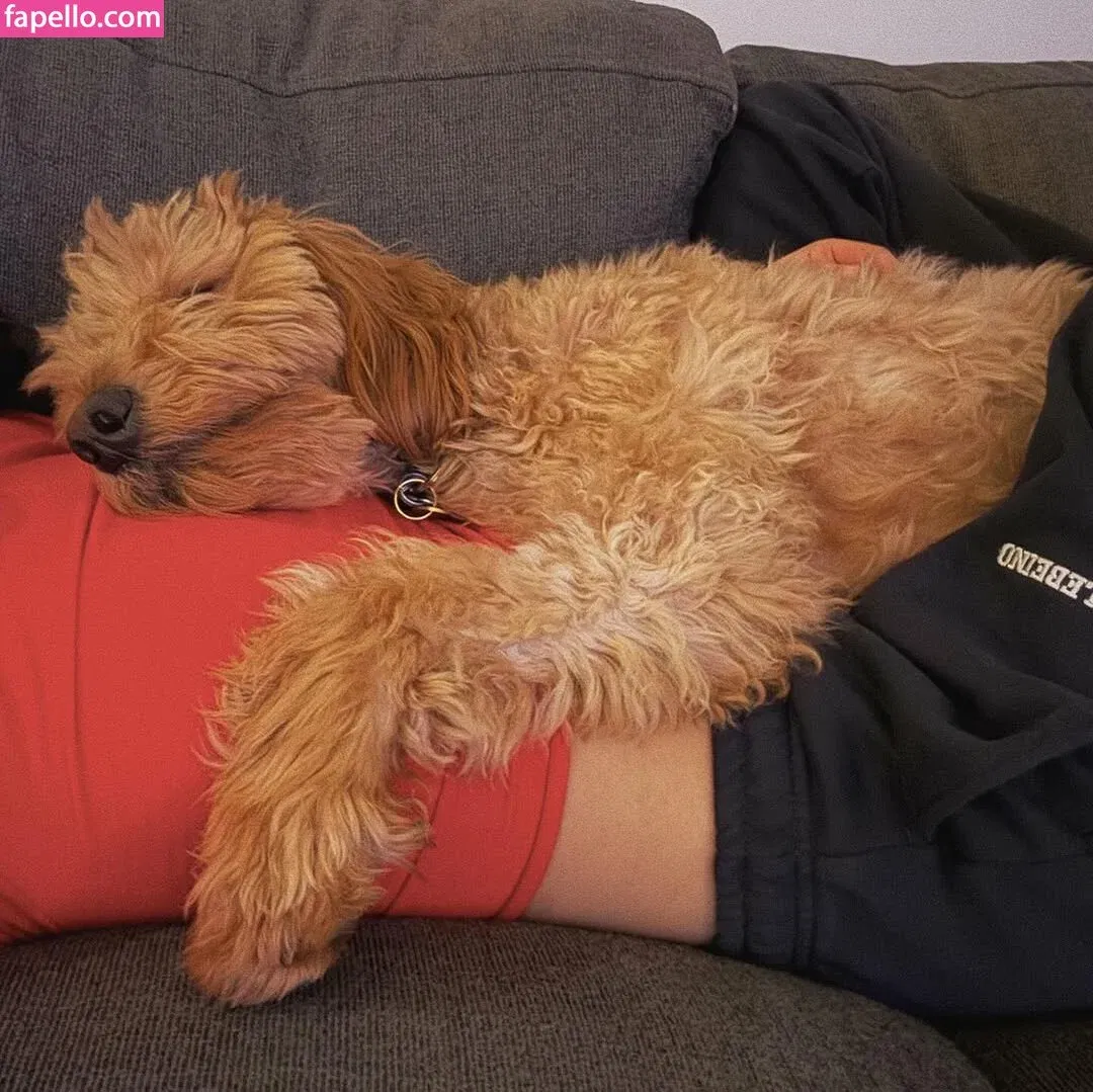 Rachel Zegler Onlyfans Photo Gallery 