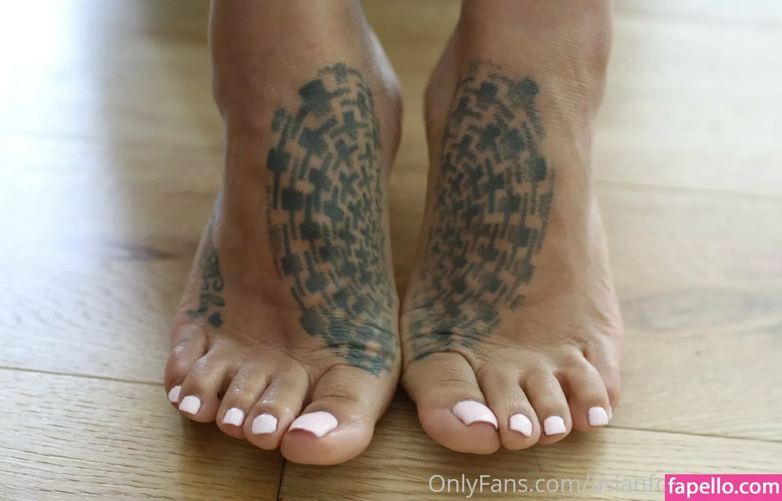 asianfootworship Onlyfans Photo Gallery 